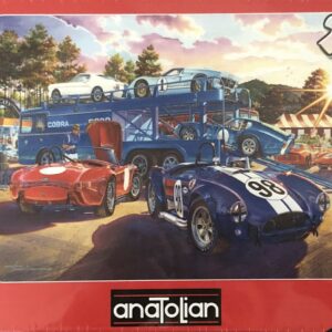 Puzzle Shelby Competition